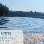 Casa Da Fontinha - Swimming Pool & Free Parking Nyaraló