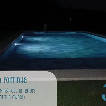 Casa Da Fontinha - Swimming Pool & Free Parking 度假居
