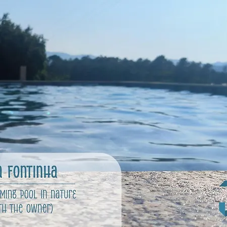 Casa Da Fontinha - Swimming Pool & Free Parking Ferienhaus